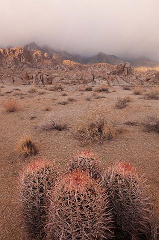 05 alabama hills.jpg